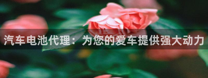 优发国际手机客户端下载不了