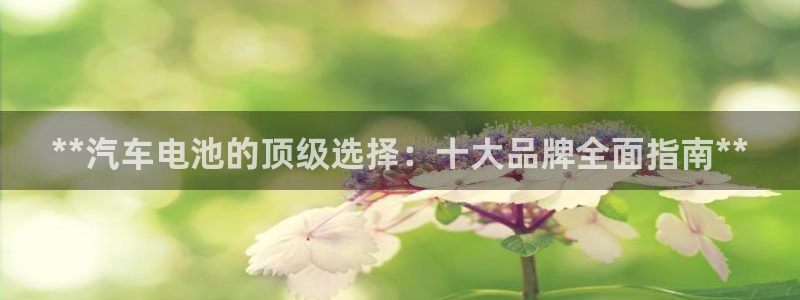 优发娱乐pt官网客户端