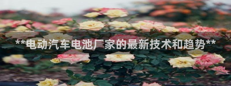 优发国际平台app下载官网