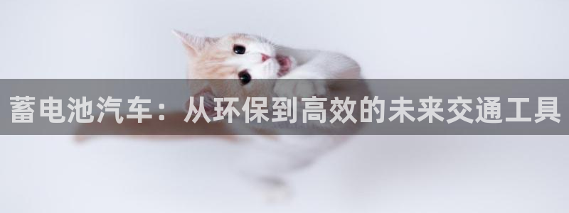 优发国际多少钱