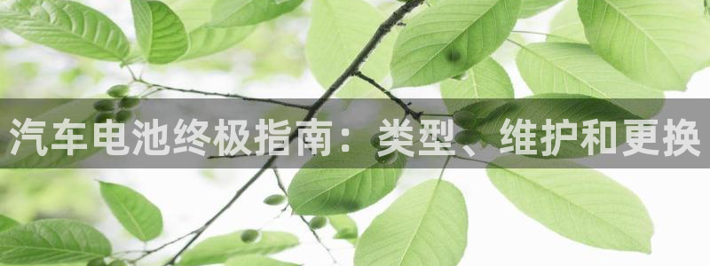 优发国际手机版客户端下载