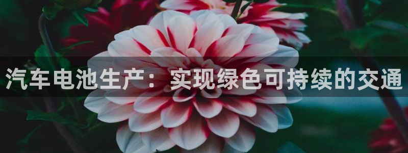 优发国际一首页