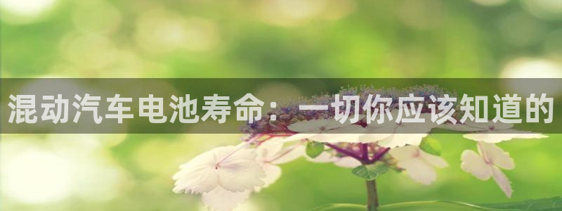优发国际官方网手机版