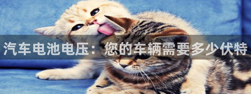 优发国际手机版网站下载