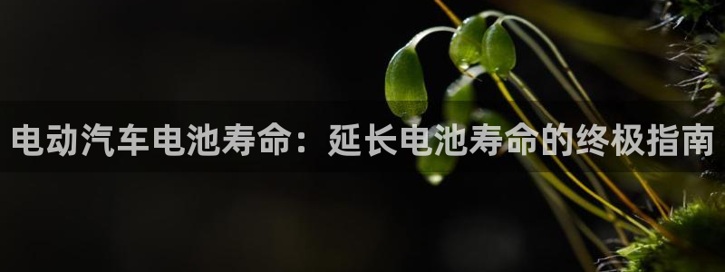 优发国际手机版下载