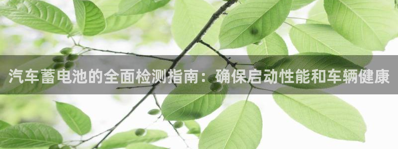 优发国际网官
