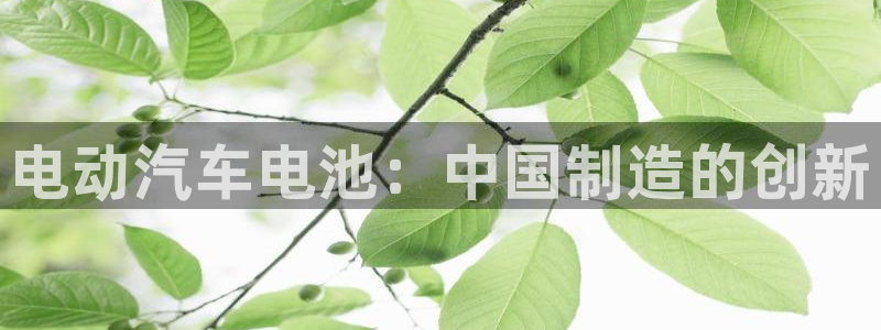 优发国际手机版客户端下载安装