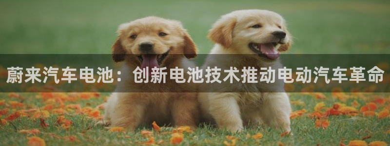 优发国际官网网站入口