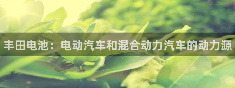 优发国际集团股份有限公司是国企吗
