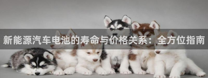 优发国际手机app下载地址