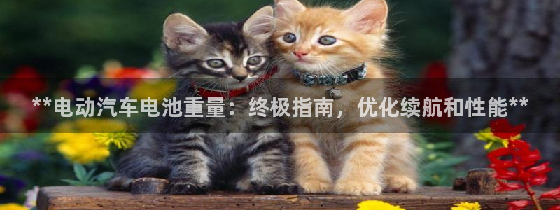 优发国际平台app下载安装