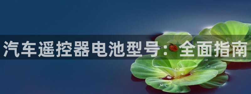 优发国际手机app下载安装官网