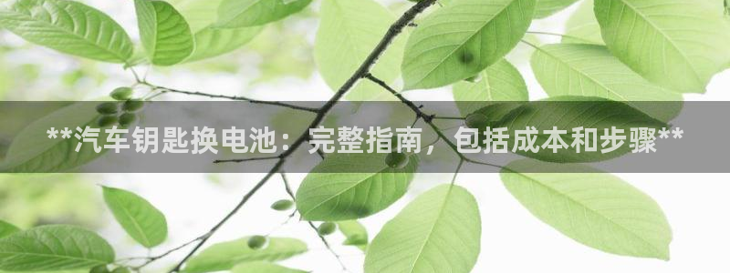 优发国际网官网17q8