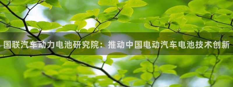 优发国际手机app下载安装
