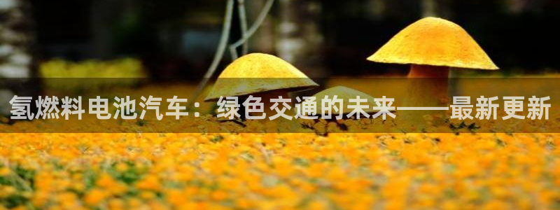 优发国际怎么样
