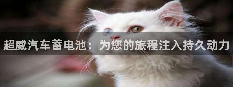 优发国际手机版官网