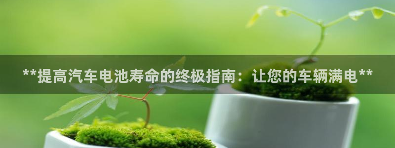 优发国际youfa966