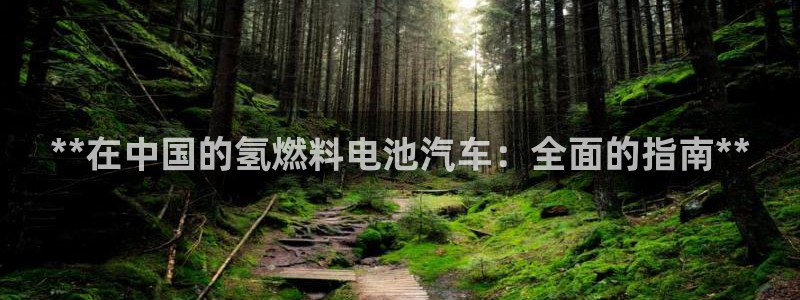 优发国际VIP网址