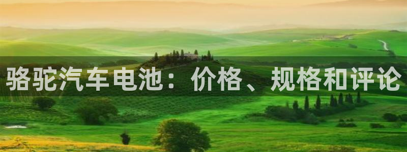 优发国际亚洲平台