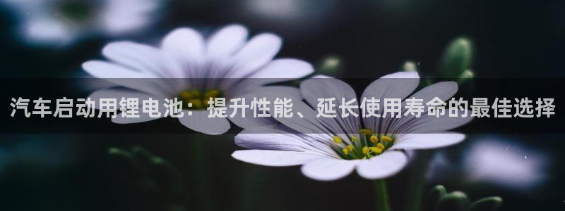 优发国际平台g8