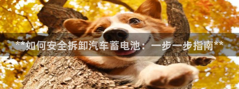 优发国际集团股份有限公司