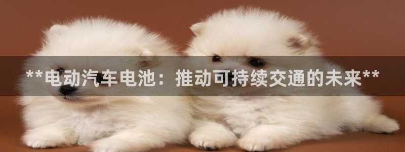 优发国际平台u8怎么样可靠吗
