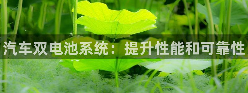 优发国际手机登录下载安装苹果