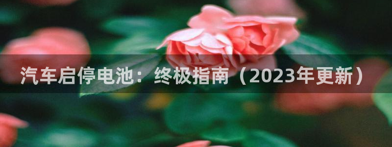 优发国际官网下载app