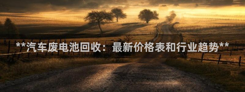 优发国际平台u8是什么公司