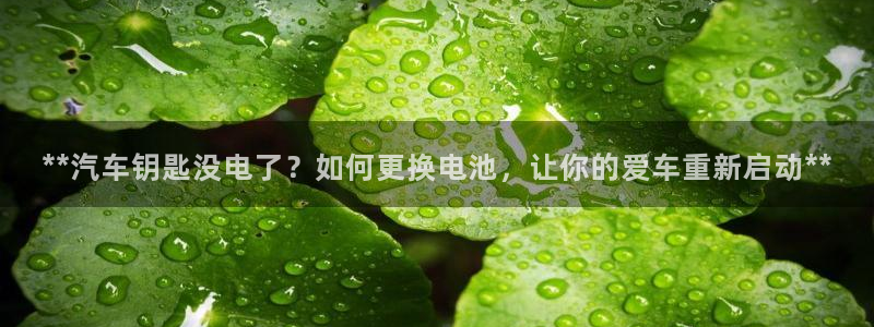 优发国际网页
