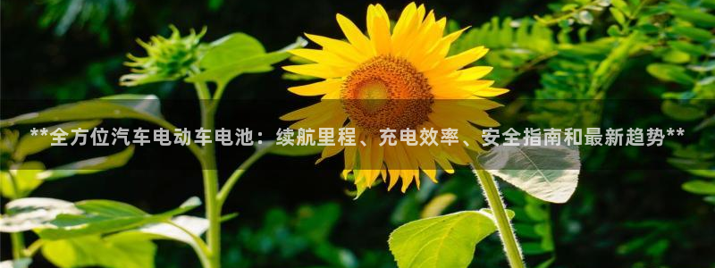 优发国际手机客户端官网