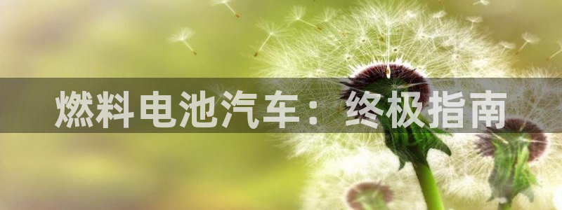 优发国际手机客户端下载安装苹果