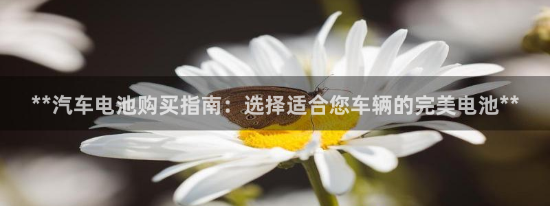 优发国际注册平台是什么