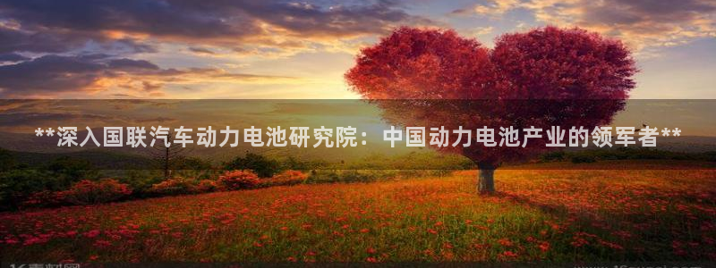 优发国际官网手机版下载安装