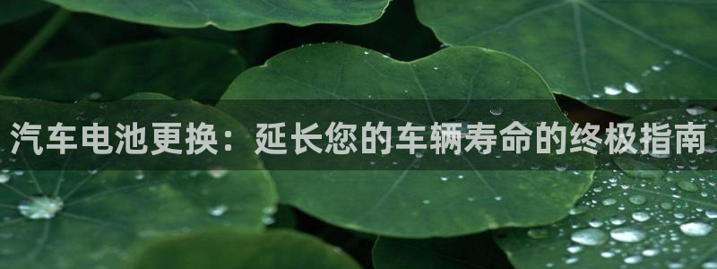 优发国际官网qy88