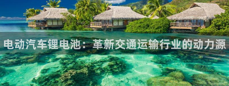 优发国际集团股份有限公司官网