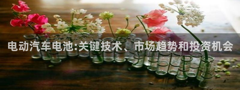 优发国际集团股份有限公司官网