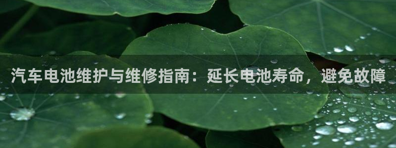 优发国际集团股份有限公司