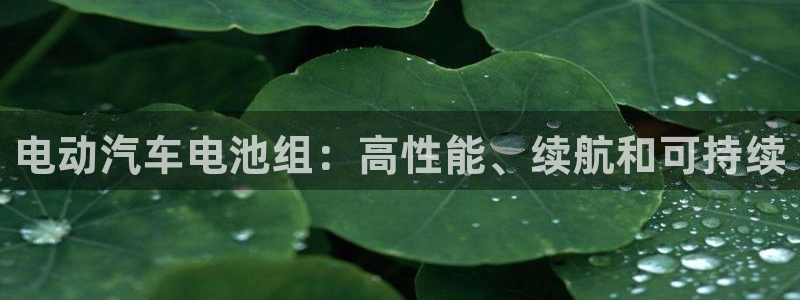 优发国际手机版客户端官网