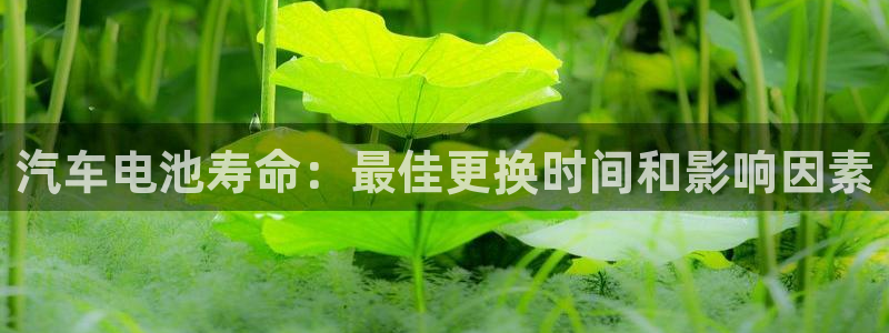 优发国际youfa