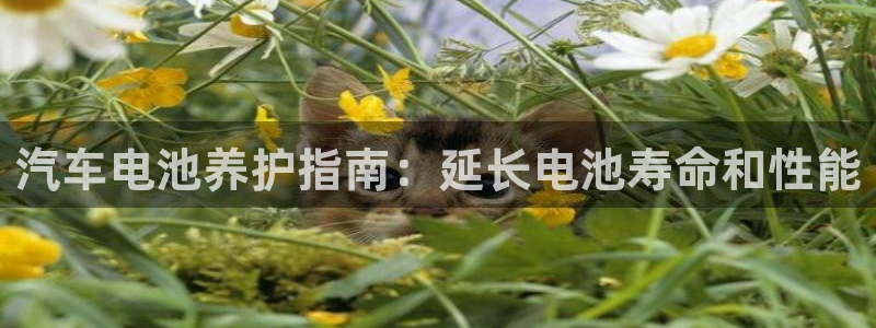 优发国际网官网17w8
