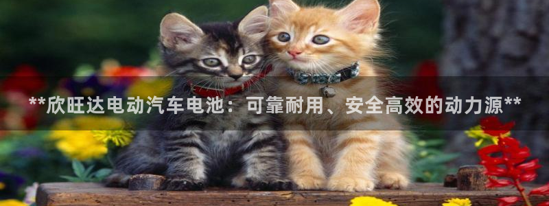 优发国际平台