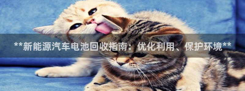 优发国际安卓版下载安装最新版
