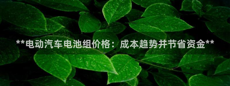 优发国际手机版客户端下载