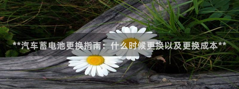 优发国际随优而动一触即发