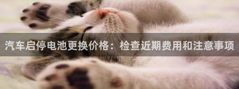 优发国际随优而动一触即发