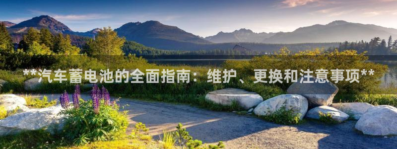 优发国际客服联系方式电话