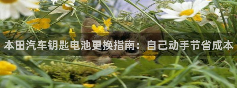 优发国际官方网手机版入口