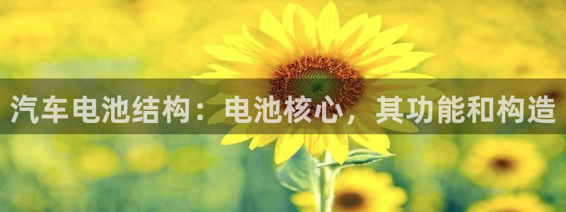 优发国际手机版下载