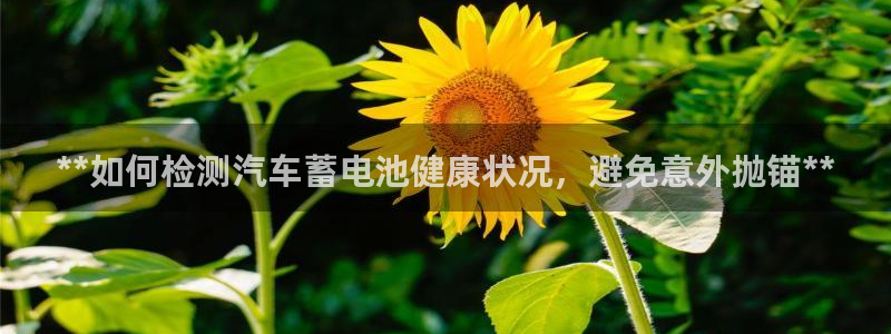 优发国际可以玩吗